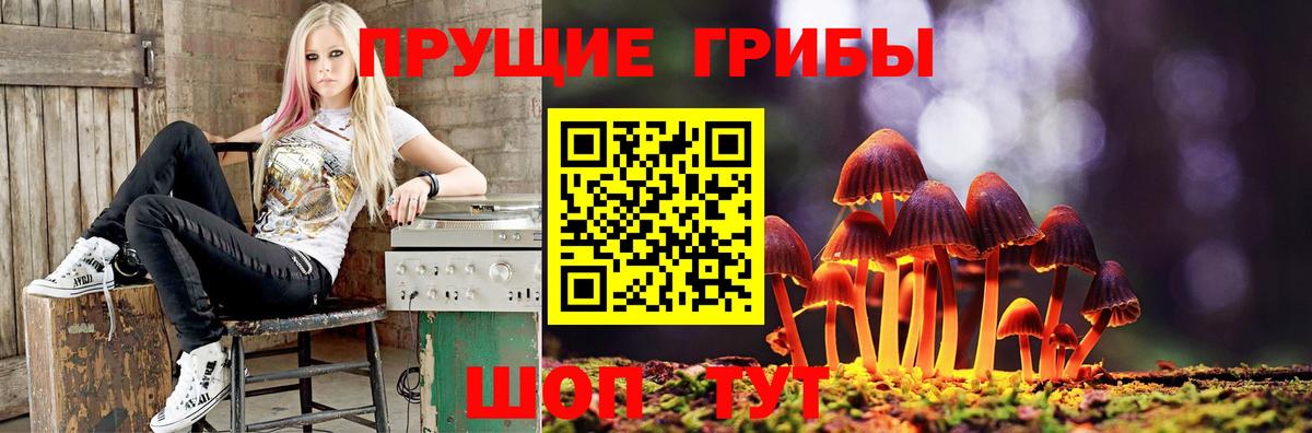 Дагестанские Огни  Галлюциногенные грибы мицелий  Вход с VPN  Псилоцибиновые грибы MAGIC MUSHROOMS 